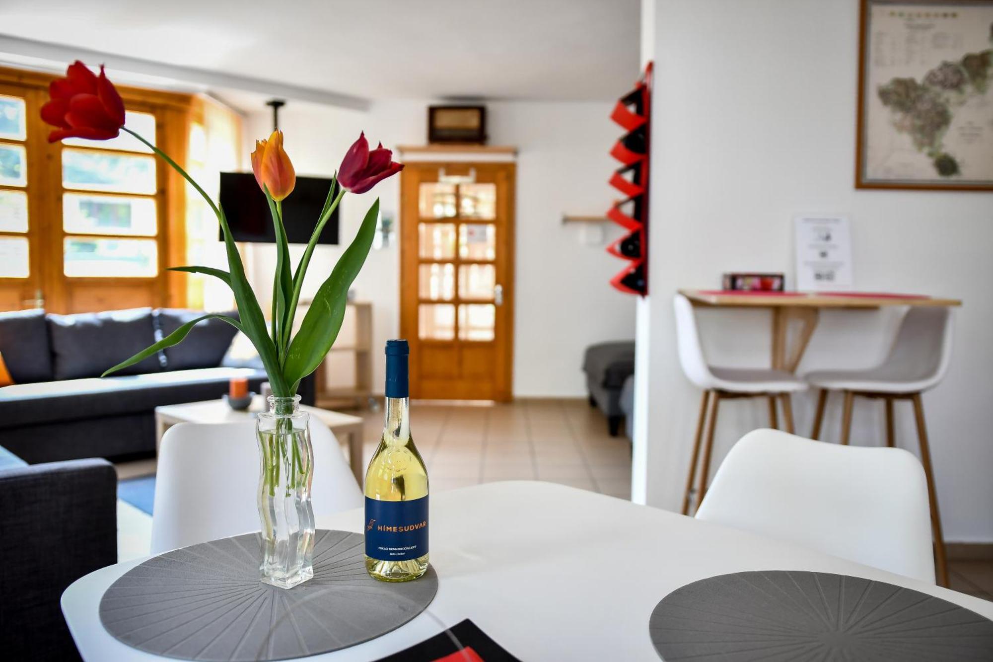Boralom Studio Apartman Tokaj Dış mekan fotoğraf
